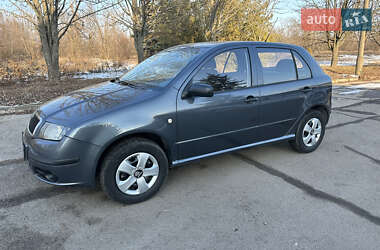 Хетчбек Skoda Fabia 2007 в Кривому Розі