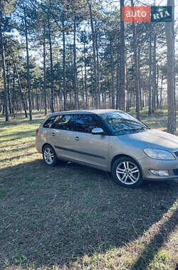 Универсал Skoda Fabia 2010 в Николаеве