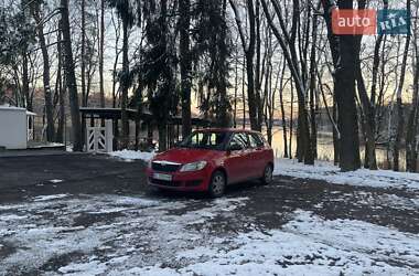 Хетчбек Skoda Fabia 2010 в 
