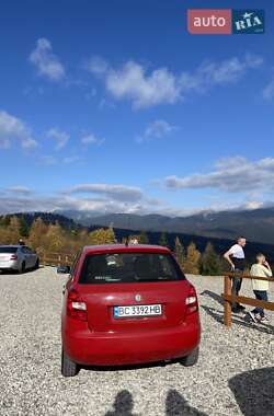 Хетчбек Skoda Fabia 2010 в 
