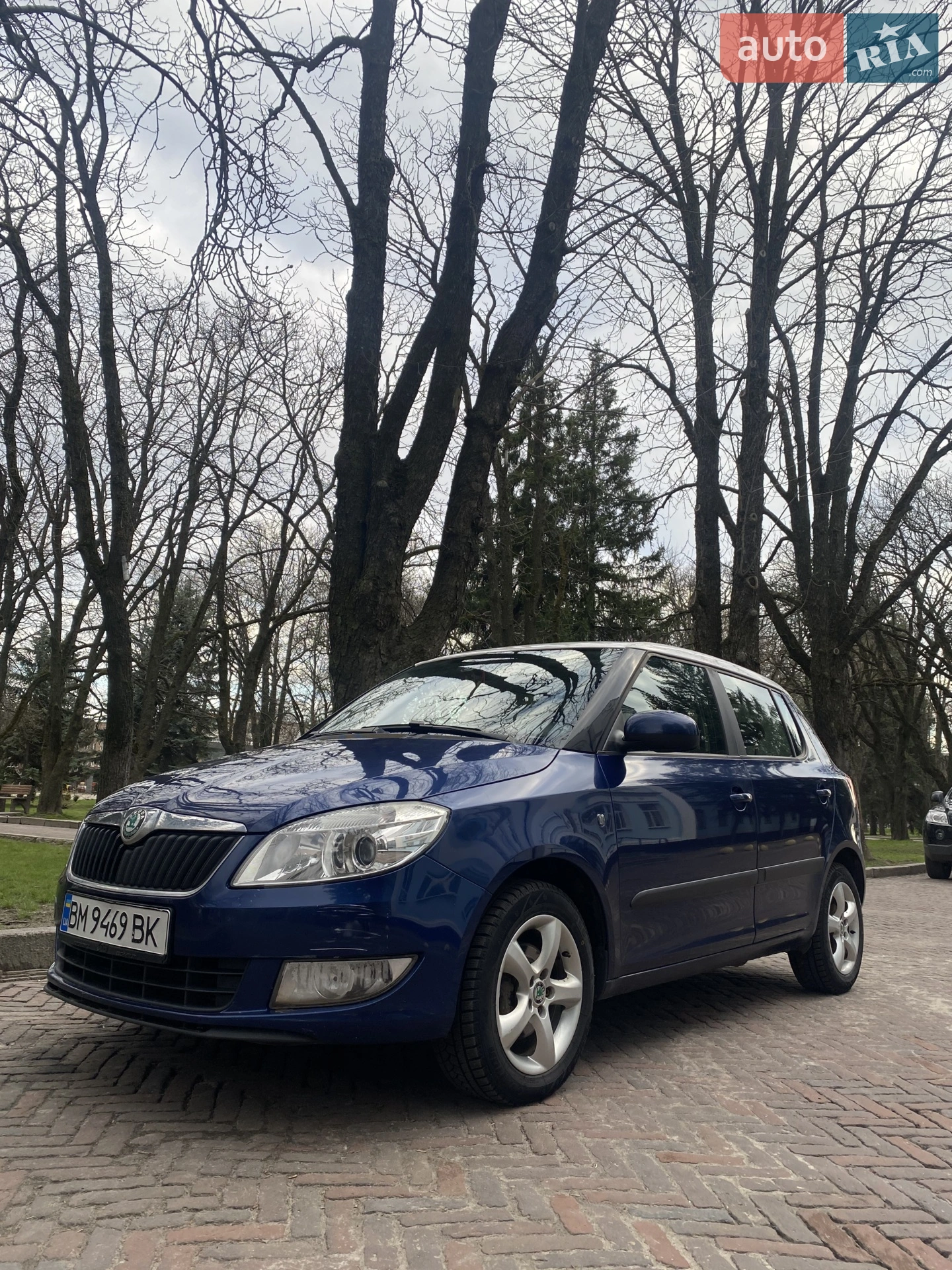 2010 Skoda Fabia - мініатюра 2