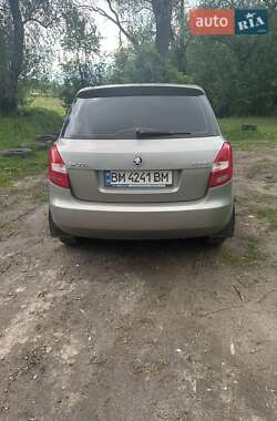 Хэтчбек Skoda Fabia 2013 в 