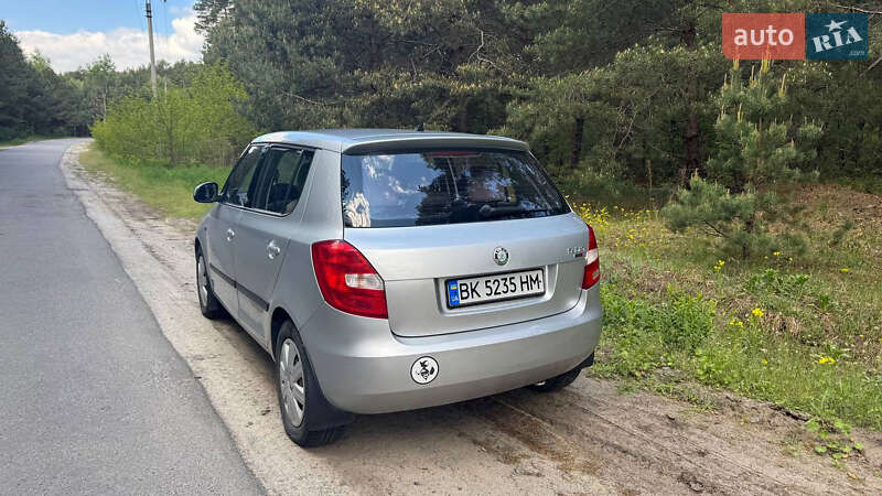 Хэтчбек Skoda Fabia 2009 в Нетешине