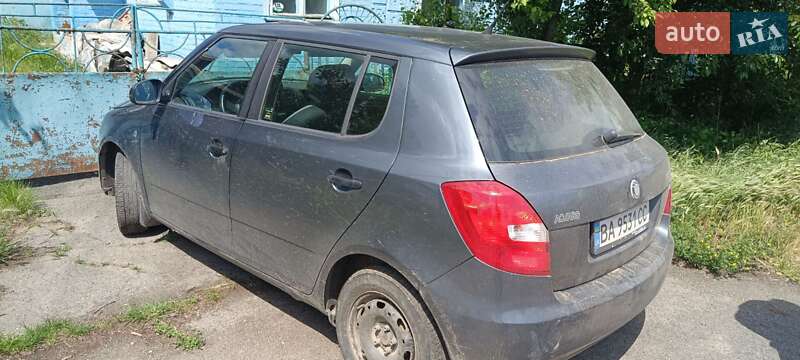 Хетчбек Skoda Fabia 2010 в Гайвороні