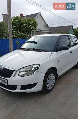 Хэтчбек Skoda Fabia 2013 в Романове