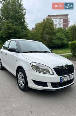 Хэтчбек Skoda Fabia 2013 в 