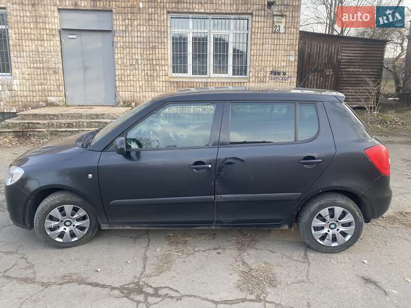 Хэтчбек Skoda Fabia 2009 в Днепре