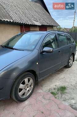 Універсал Skoda Fabia 2004 в Маневичах