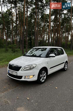 Хэтчбек Skoda Fabia 2011 в Александровке