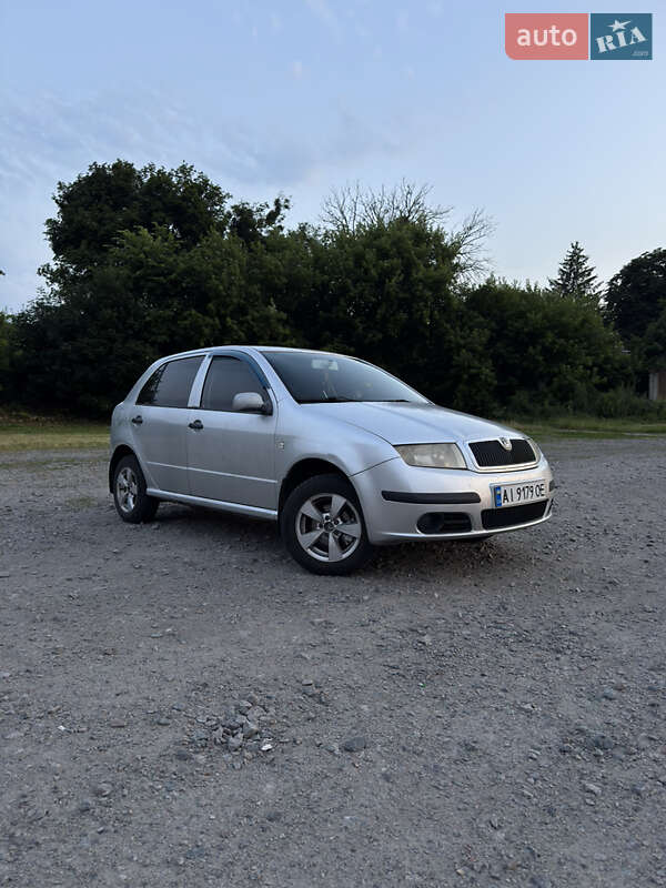 Хетчбек Skoda Fabia 2004 в Шпитьках