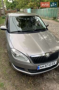 Хэтчбек Skoda Fabia 2010 в Радомышле