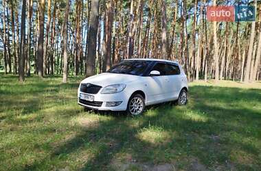 Хетчбек Skoda Fabia 2010 в Сумах