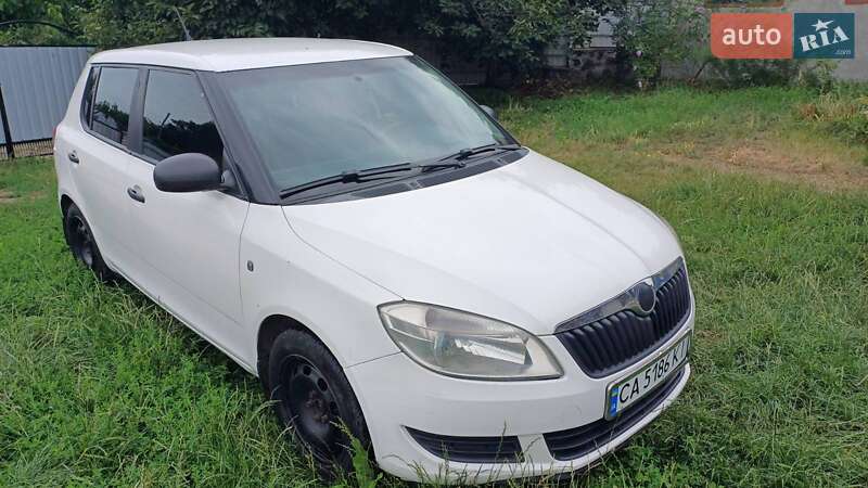 Хэтчбек Skoda Fabia 2011 в Святопетровское
