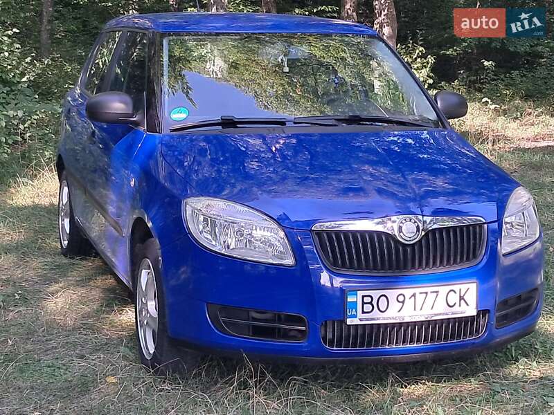 Хэтчбек Skoda Fabia 2008 в Борщеве