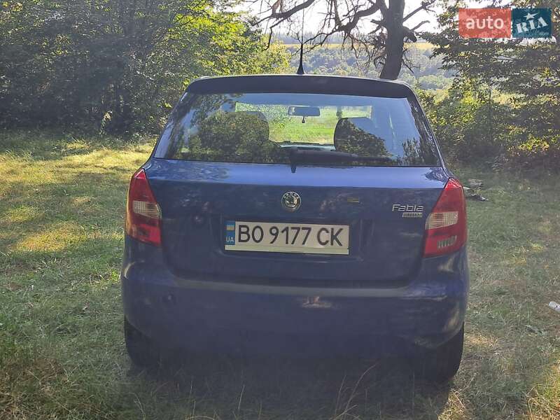 Хэтчбек Skoda Fabia 2008 в Борщеве
