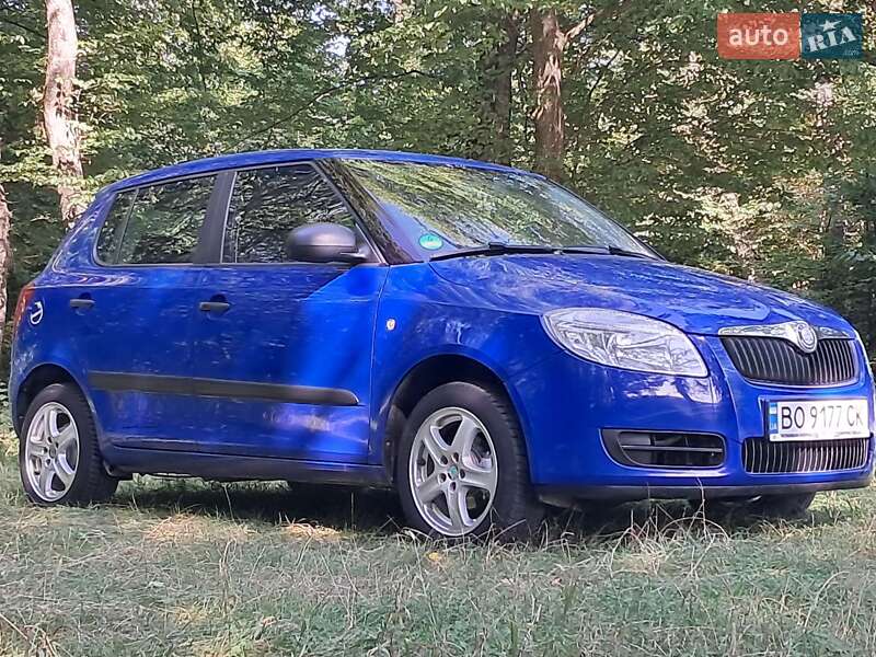 Хэтчбек Skoda Fabia 2008 в Борщеве