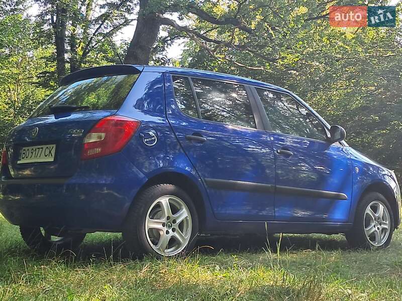 Хэтчбек Skoda Fabia 2008 в Борщеве