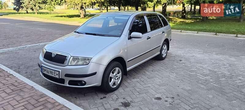 Универсал Skoda Fabia 2008 в Шостке