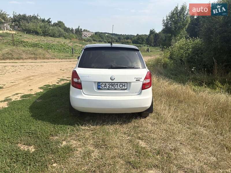 Хэтчбек Skoda Fabia 2008 в Монастырище фото 2 Хэтчбек Skoda Fabia 2008 в Монастырище