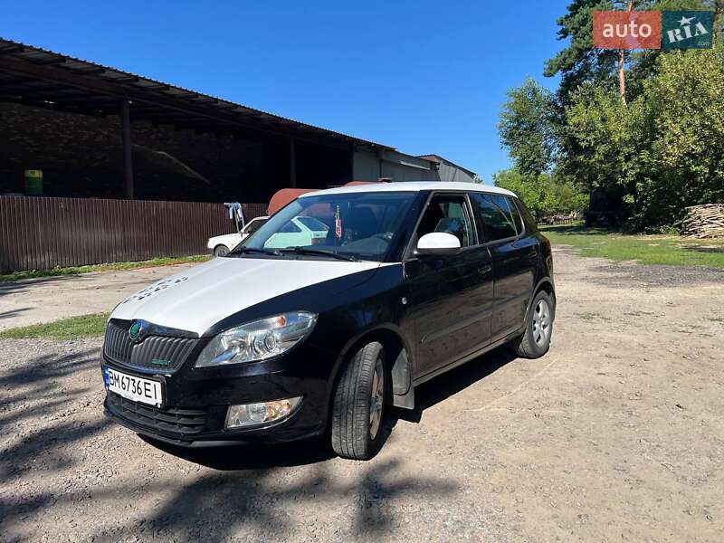 Хетчбек Skoda Fabia 2011 в Заводське