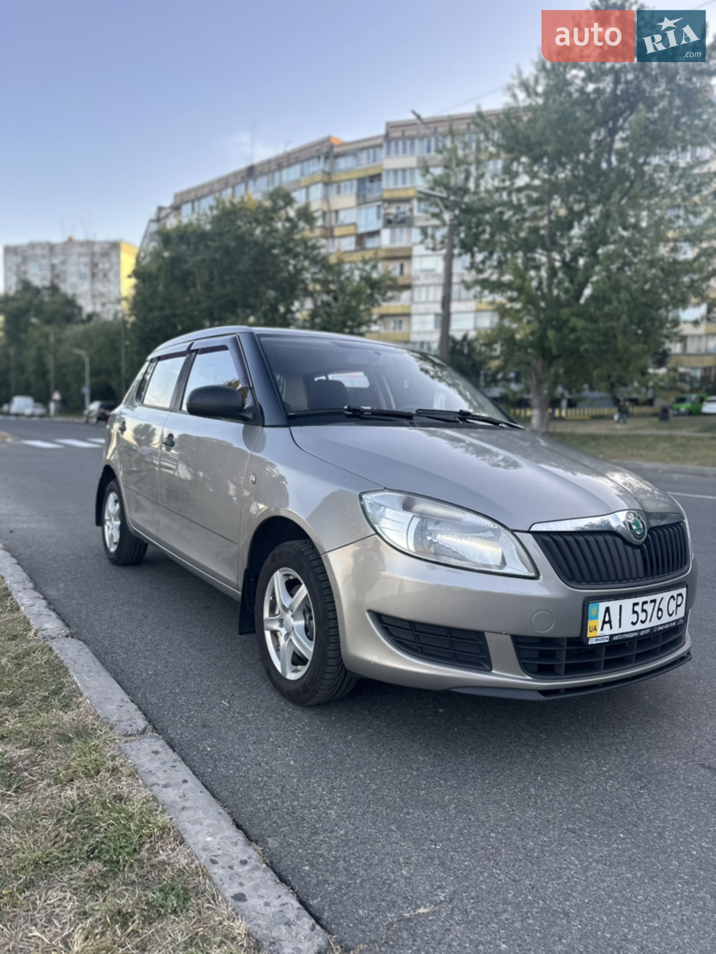 2011 Skoda Fabia - фото 1
