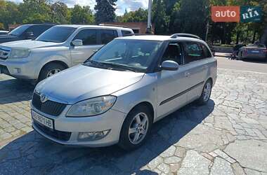 Хэтчбек Skoda Fabia 2010 в Кременчуге