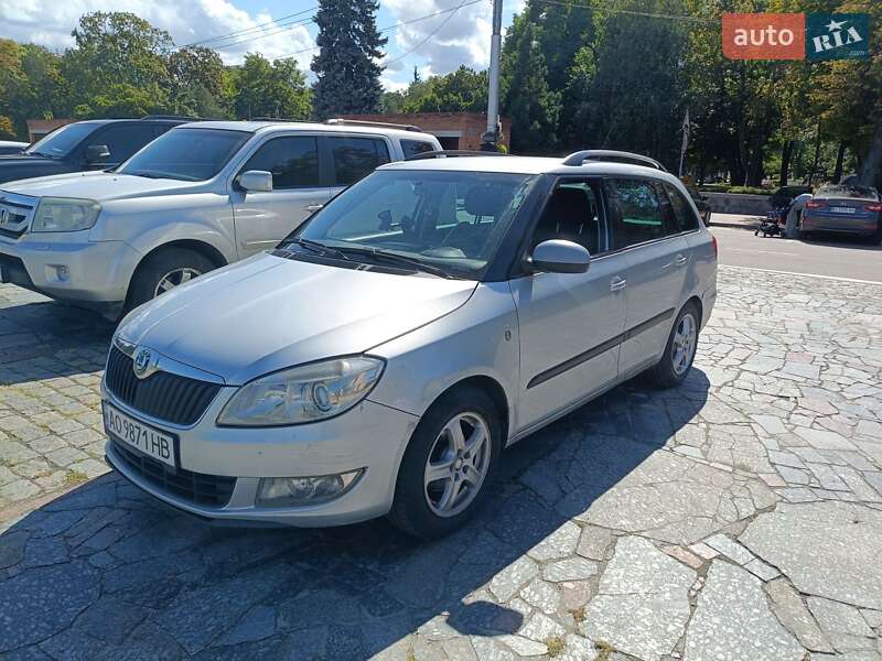 Хэтчбек Skoda Fabia 2010 в Кременчуге