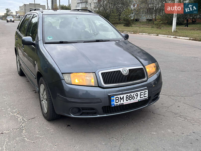 Универсал Skoda Fabia 2005 в Шостке