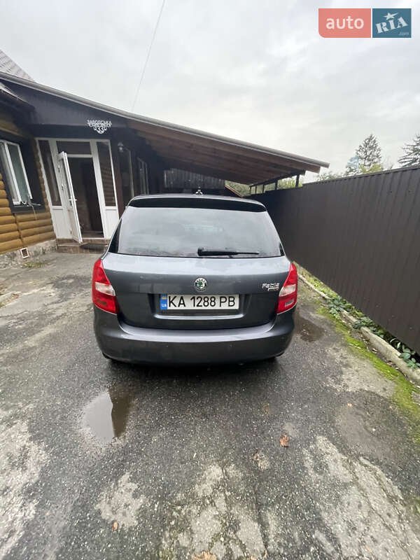 Хэтчбек Skoda Fabia 2010 в Киеве