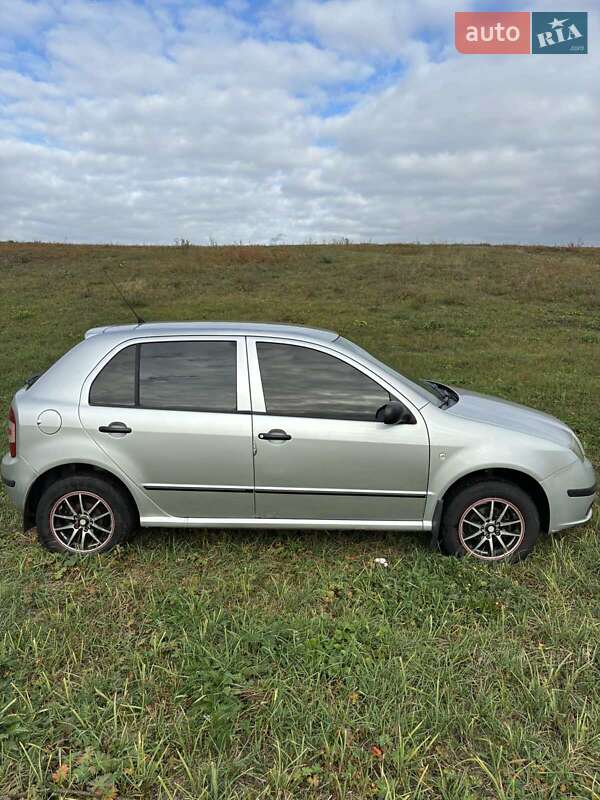 Хэтчбек Skoda Fabia 2006 в Петриковке