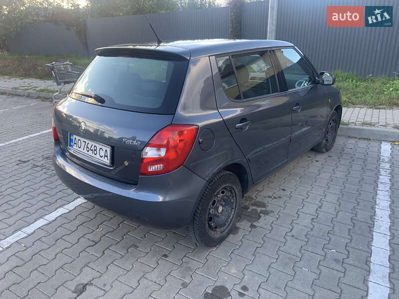 Хэтчбек Skoda Fabia 2009 в Ужгороде