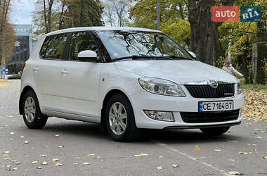 Хэтчбек Skoda Fabia 2013 в 