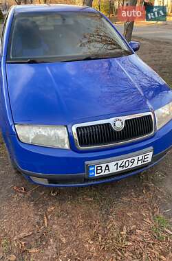 Универсал Skoda Fabia 2004 в Новоукраинке