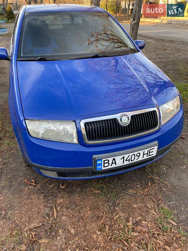 Универсал Skoda Fabia 2004 в Новоукраинке