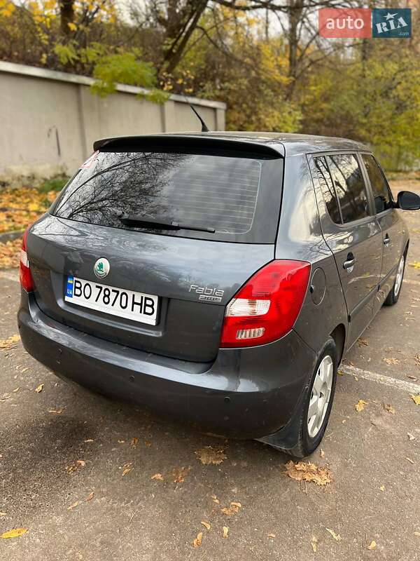 Хетчбек Skoda Fabia 2010 в Тернополі