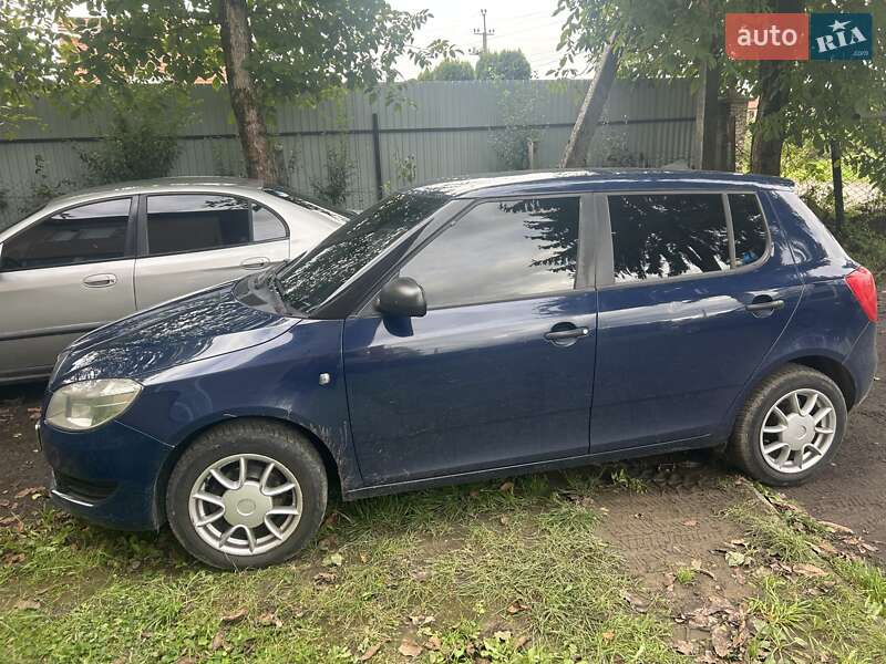 Хэтчбек Skoda Fabia 2013 в Тячеве