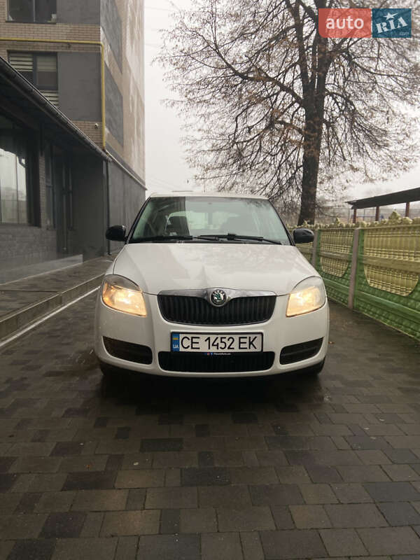 Хэтчбек Skoda Fabia 2009 в Хмельницком