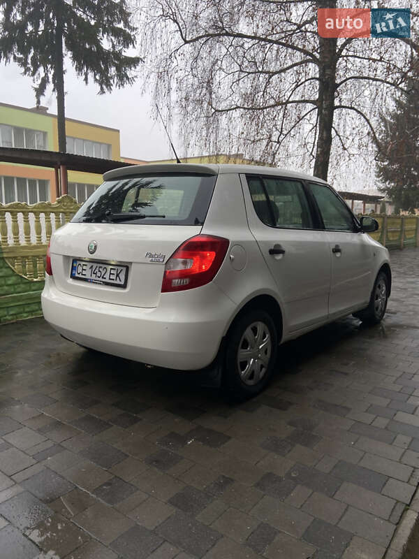 Хэтчбек Skoda Fabia 2009 в Хмельницком