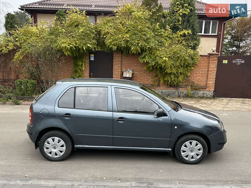 Хетчбек Skoda Fabia 2004 в Кропивницькому