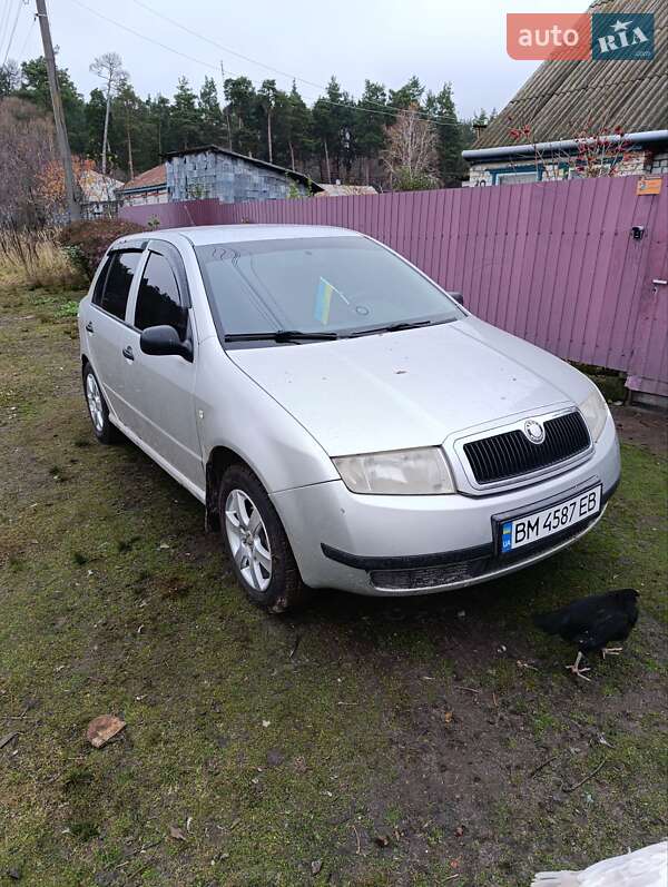 Хетчбек Skoda Fabia 2002 в Свессе