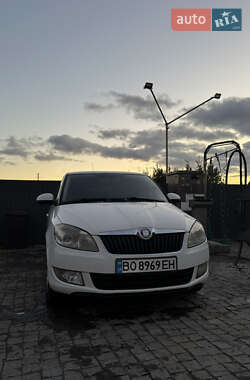Хэтчбек Skoda Fabia 2010 в Лановцах