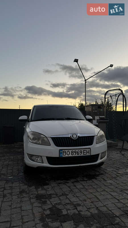 Хэтчбек Skoda Fabia 2010 в Лановцах фото Хэтчбек Skoda Fabia 2010 в Лановцах