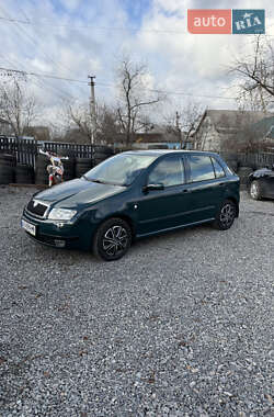 Хэтчбек Skoda Fabia 2000 в Смеле