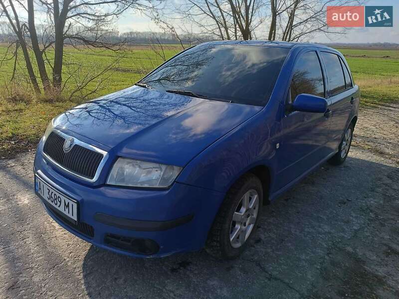 Хэтчбек Skoda Fabia 2005 в Киеве