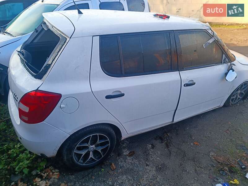 Хэтчбек Skoda Fabia 2010 в Днепре