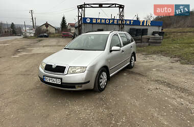 Універсал Skoda Fabia 2001 в Теребовлі