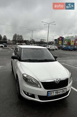 Хэтчбек Skoda Fabia 2013 в Днепре