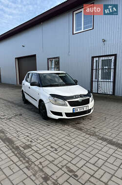 Хэтчбек Skoda Fabia 2010 в Березному