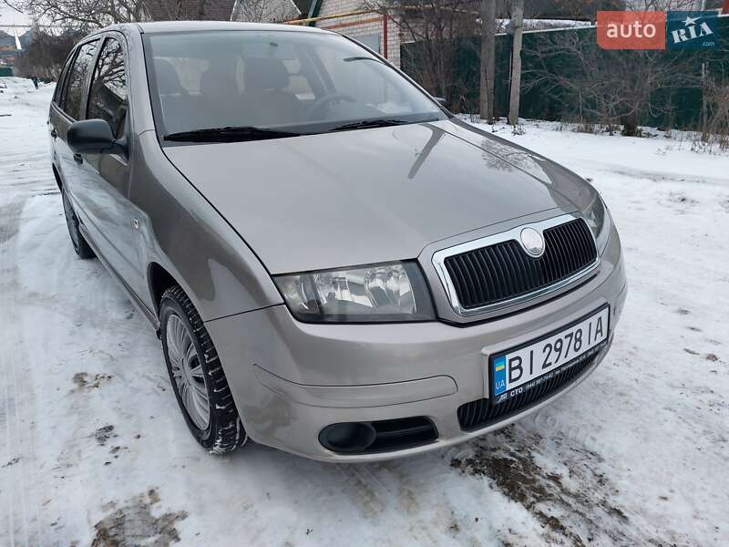 Універсал Skoda Fabia 2006 в Кременчуці
