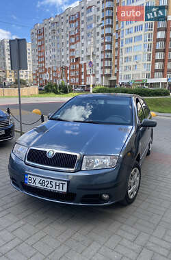 Универсал Skoda Fabia 2004 в Хмельницком